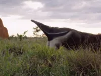 Сила життя - Скріншот 4