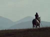 Володар прерій - Скріншот 1