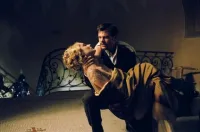 Загони тигрів - Скріншот 3