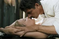 Загони тигрів - Скріншот 4