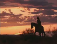 Чорний яструб - Скріншот 1