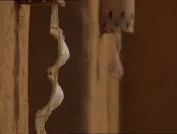 Канікули з перцем - Скріншот 3