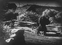 Мавпа - Скріншот 1