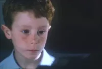 Великий дуб - Скріншот 2