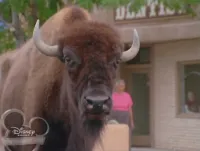 Земля бізонів - Скріншот 2