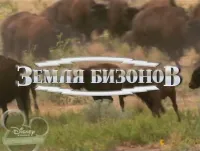 Земля бізонів - Скріншот 4