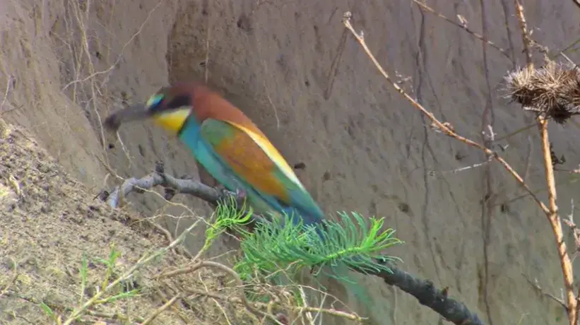 Фонове зображення Усесвіт