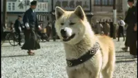 Хачіко / Історія Хачіко - Скріншот 3