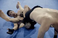 Життя після бою - Скріншот 2