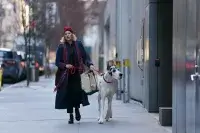 Друг - Скріншот 3