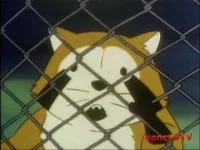 Єнотик Раскаль - Скріншот 4