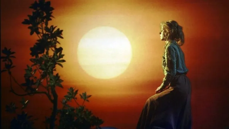 Фонове зображення Принц за сімома морями