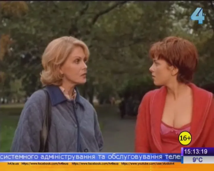 Фонове зображення Скажені корови