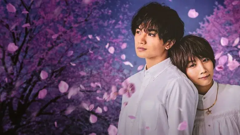 Фонове зображення Моє кохання мов квітка сакури