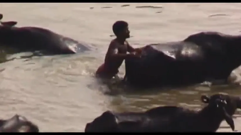 Фонове зображення Один гігантський стрибок