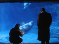 Ліквідатор - Скріншот 3